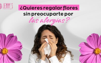 ¿Qué Flores Regalar a Personas con Alergia?